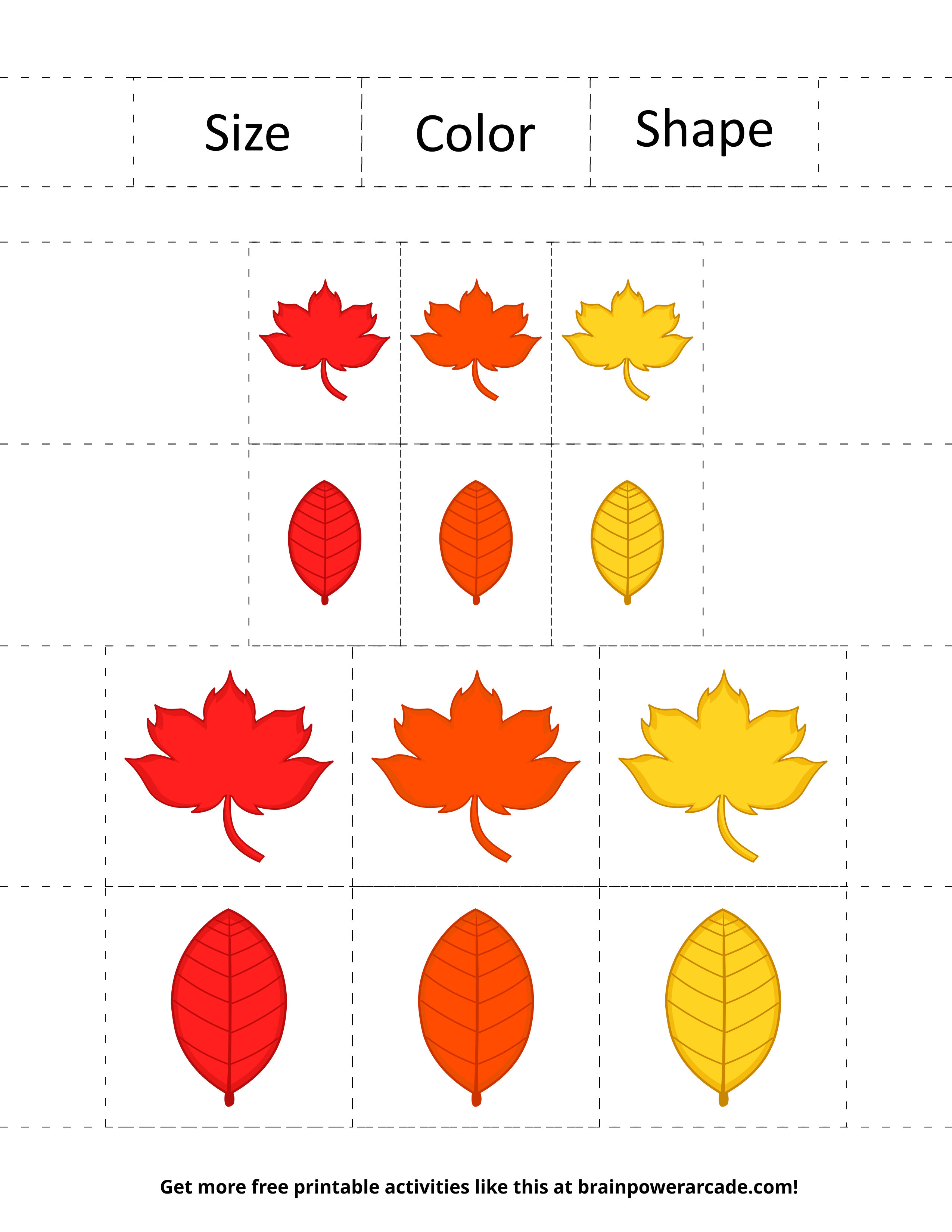 Sort Fall Leaves By Color, Size, or Shape (Page 2)
