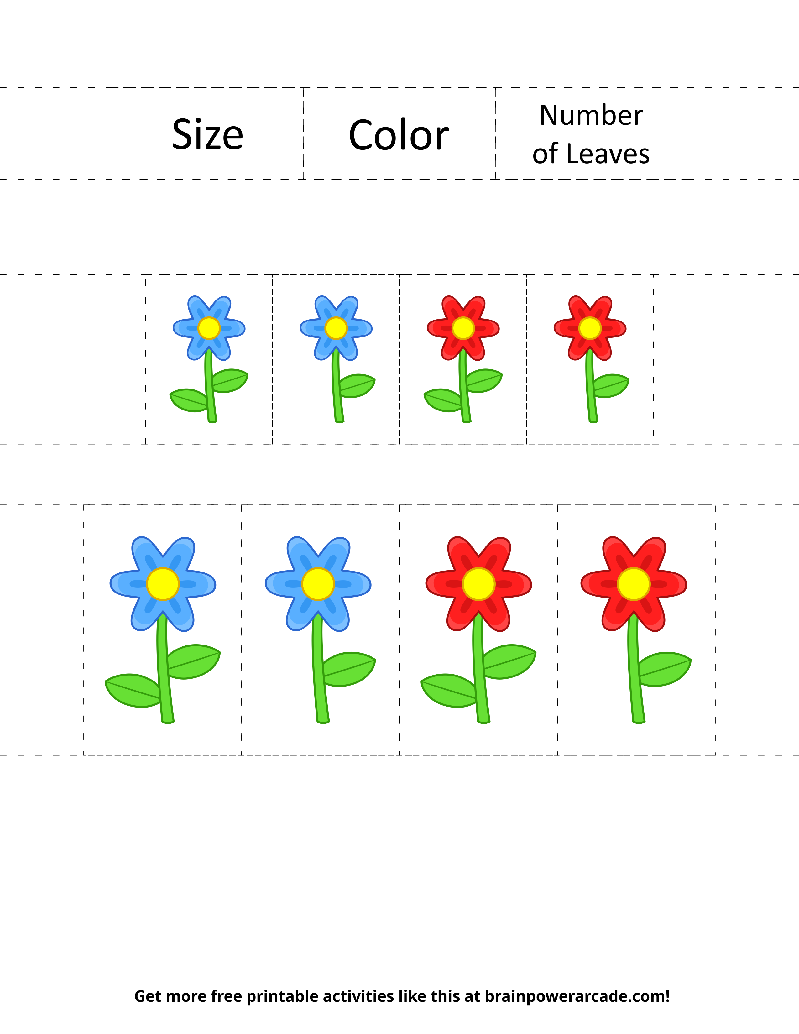Sort Flowers By Color, Size, or Number of Leaves (Page 2)