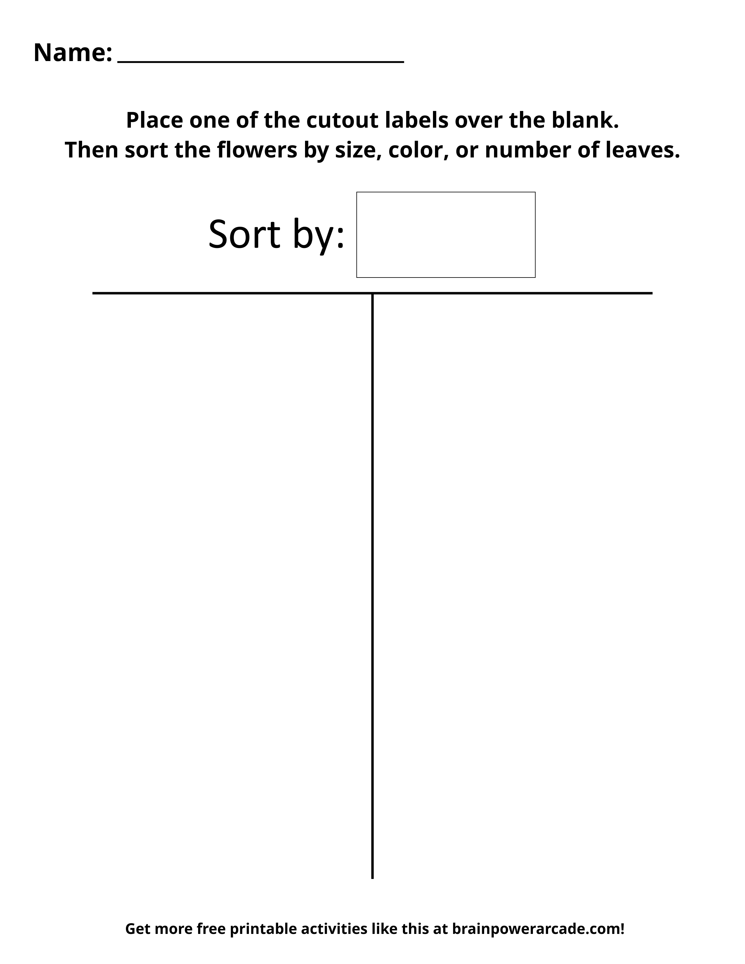 Sort Flowers By Color, Size, or Number of Leaves (Page 1)