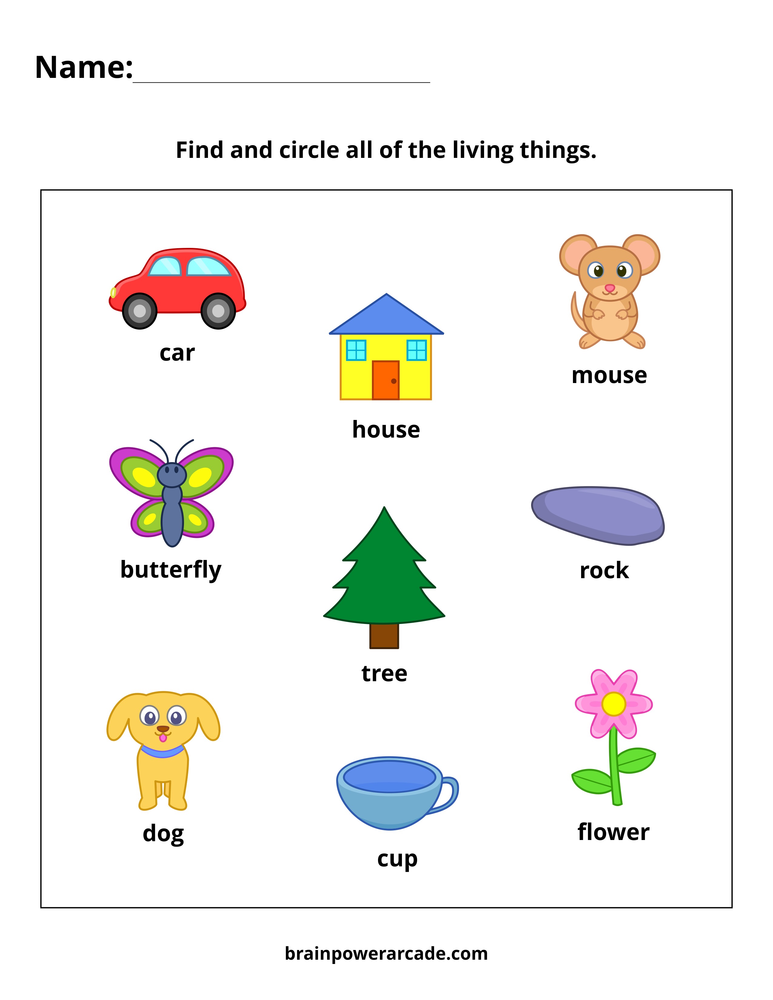 Find and Circle Living Things